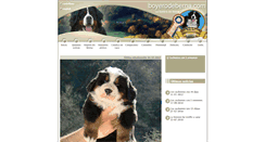Desktop Screenshot of boyerodeberna.com